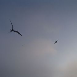 Outer Hebrides Sea Kayaking