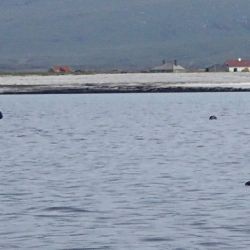 Outer Hebrides Sea Kayaking