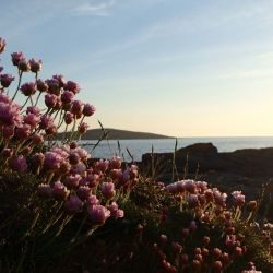 Outer Hebrides Sea Kayaking