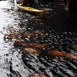 Outer Hebrides Sea Kayaking