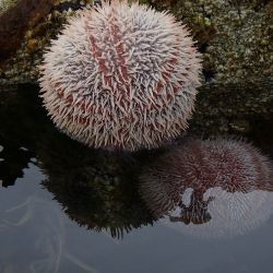 Outer Hebrides Sea Kayaking