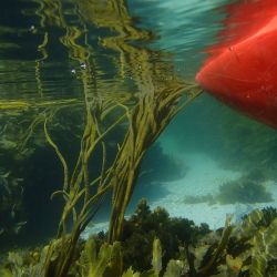 Outer Hebrides Sea Kayaking