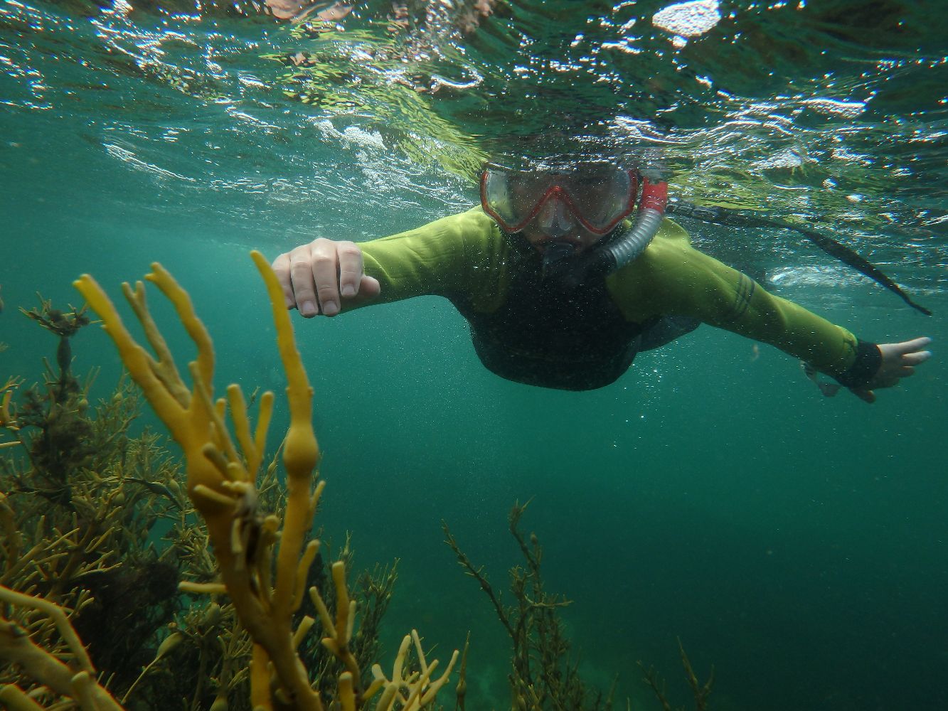 Snorkel with seals