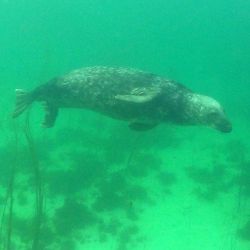 Outer Hebrides Sea Kayaking