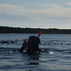 Outer Hebrides Sea Kayaking