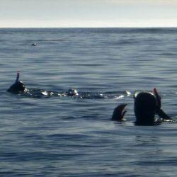 Outer Hebrides Sea Kayaking