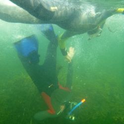 Outer Hebrides Sea Kayaking