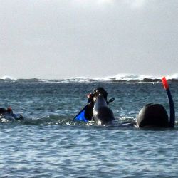 Outer Hebrides Sea Kayaking