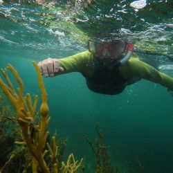 Outer Hebrides Sea Kayaking