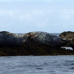 Outer Hebrides Sea Kayaking