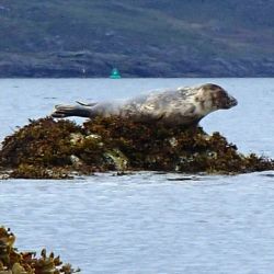 Outer Hebrides Sea Kayaking