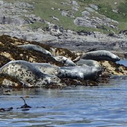 Outer Hebrides Sea Kayaking