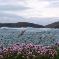 Outer Hebrides Sea Kayaking