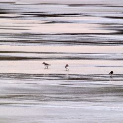 Outer Hebrides Sea Kayaking