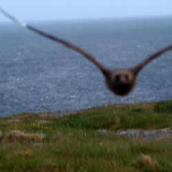 Outer Hebrides Sea Kayaking