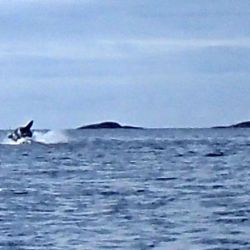 Outer Hebrides Sea Kayaking