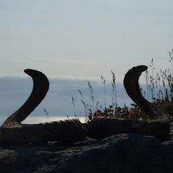 Outer Hebrides Sea Kayaking