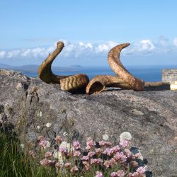 Outer Hebrides Sea Kayaking