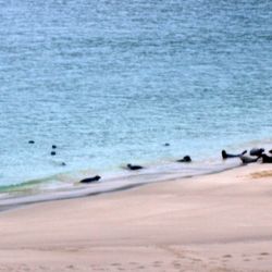 Outer Hebrides Sea Kayaking