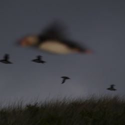 Outer Hebrides Sea Kayaking