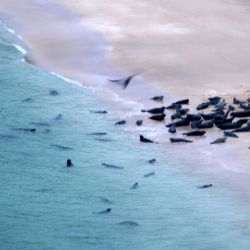 Outer Hebrides Sea Kayaking