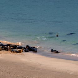 Outer Hebrides Sea Kayaking