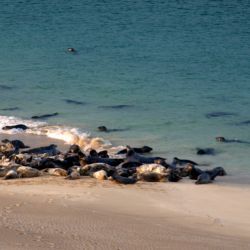 Outer Hebrides Sea Kayaking