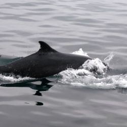 Outer Hebrides Sea Kayaking