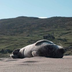 Outer Hebrides Sea Kayaking