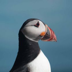 Outer Hebrides Sea Kayaking