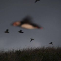 Outer Hebrides Sea Kayaking