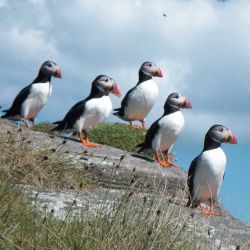 Outer Hebrides Sea Kayaking