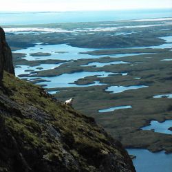 view of Uist sea lochs from a mountain