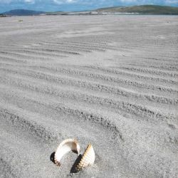 Outer Hebrides Sea Kayaking