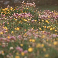 Outer Hebrides Sea Kayaking