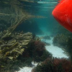 Outer Hebrides Sea Kayaking